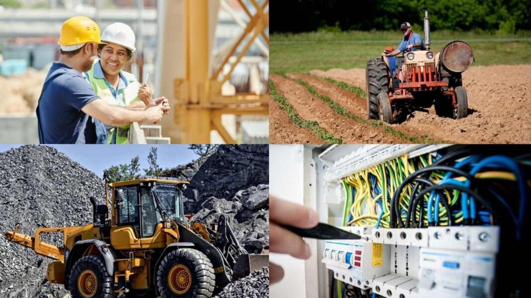 actividad economica