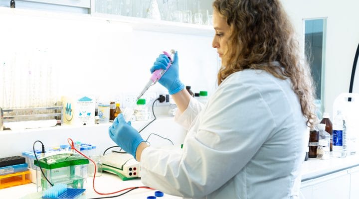 Revelan que las hormonas tiroideas favorecen la diseminación de ciertos linfomas conicet