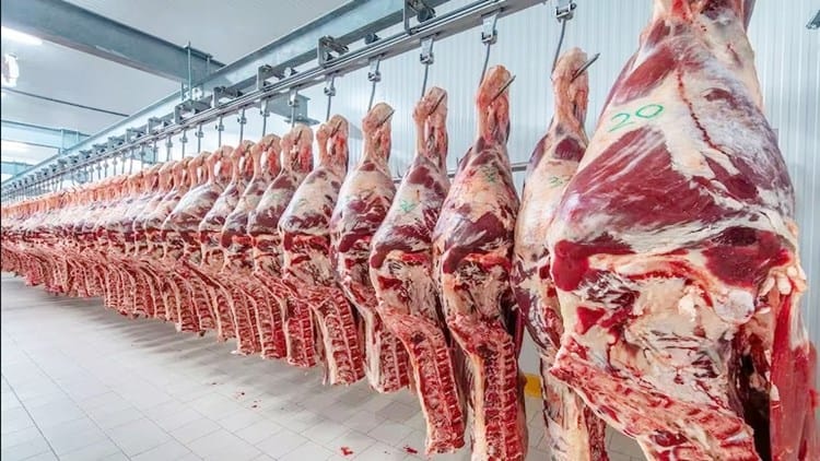 El Gobierno mantiene retenciones cero para la exportación de carne aviar y bovina hasta el 31 de octubre