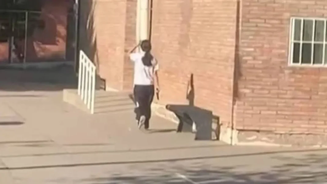 La crisis de Mendoza: un síntoma de lo urgente nena mend