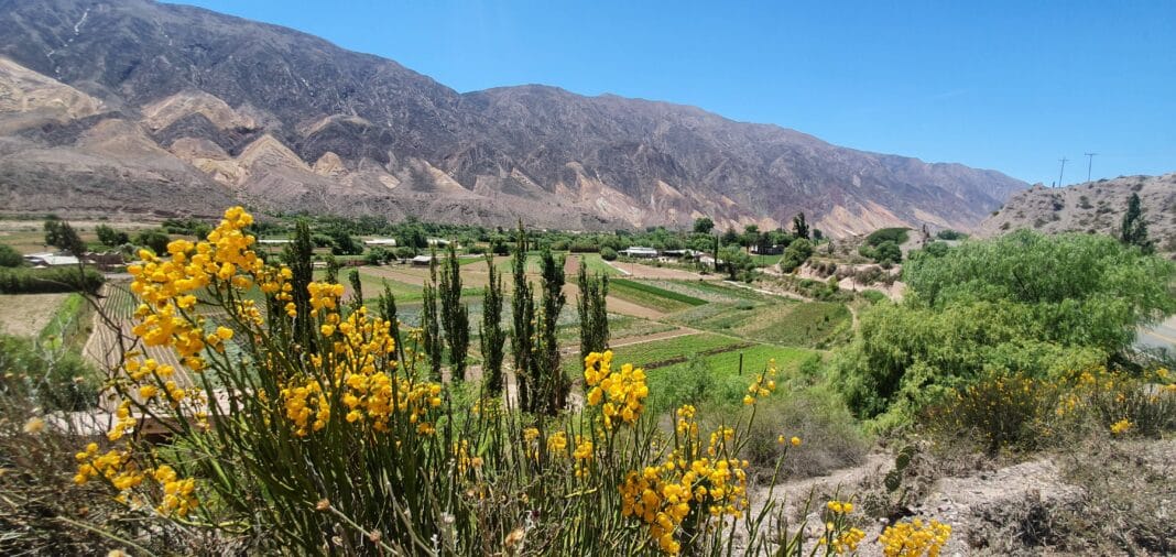 Un pueblo argentino fue elegido como “el más lindo del mundo”: ¿de cuál se trata? Maimará-Jujuy