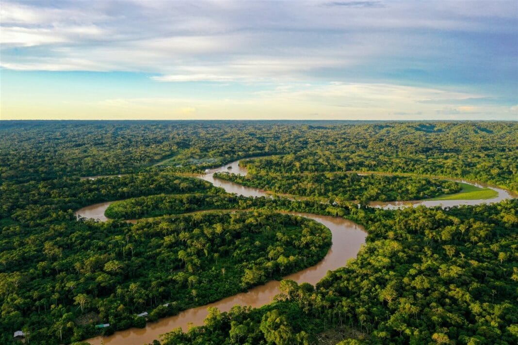 Rainforests Forever: nace un fondo global para salvar las selvas tropicales selva-tropical-amazonica