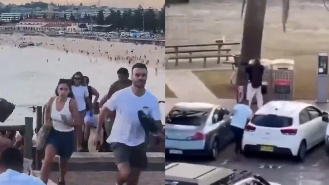 Australia califica como ataque terrorista un atentado contra la comunidad judía en Sídney que dejó 12 muertos tiroteo-sidney