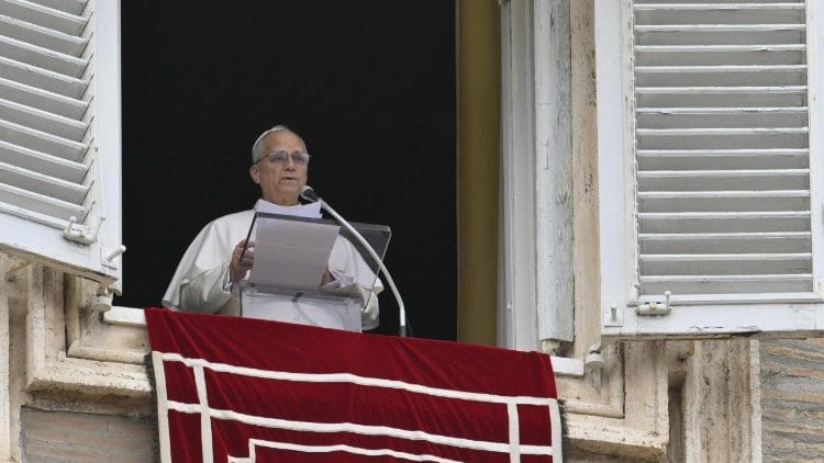 El Papa León XIV pidió paz en Venezuela y respeto por la soberanía y los derechos humanos Angelus