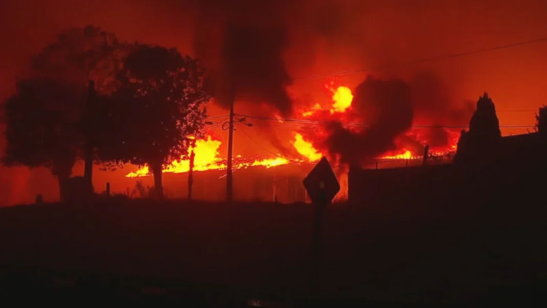 Chile en alerta máxima: Boric decretó estado de catástrofe por incendios en el sur incendio_forestales chile