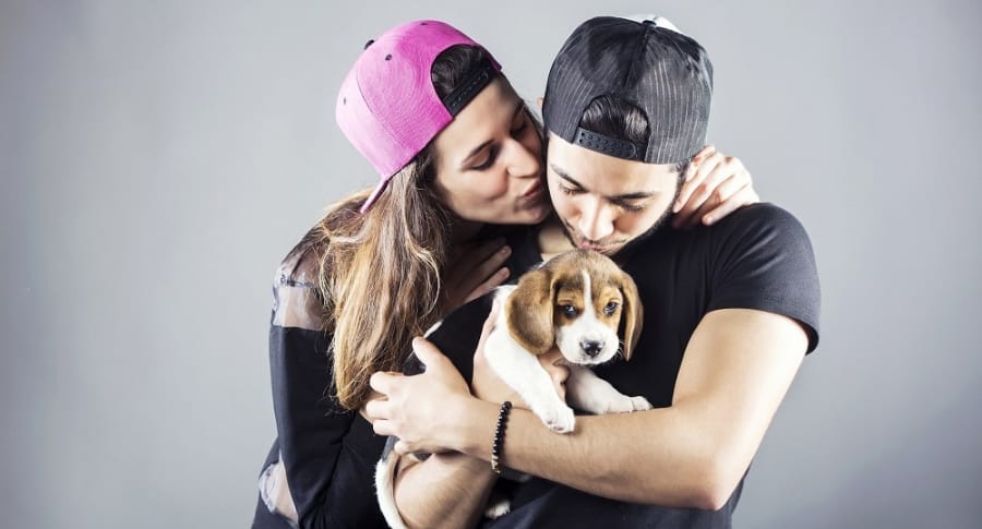 ¿Es posible un mundo sin hijos? pareja-con-perro