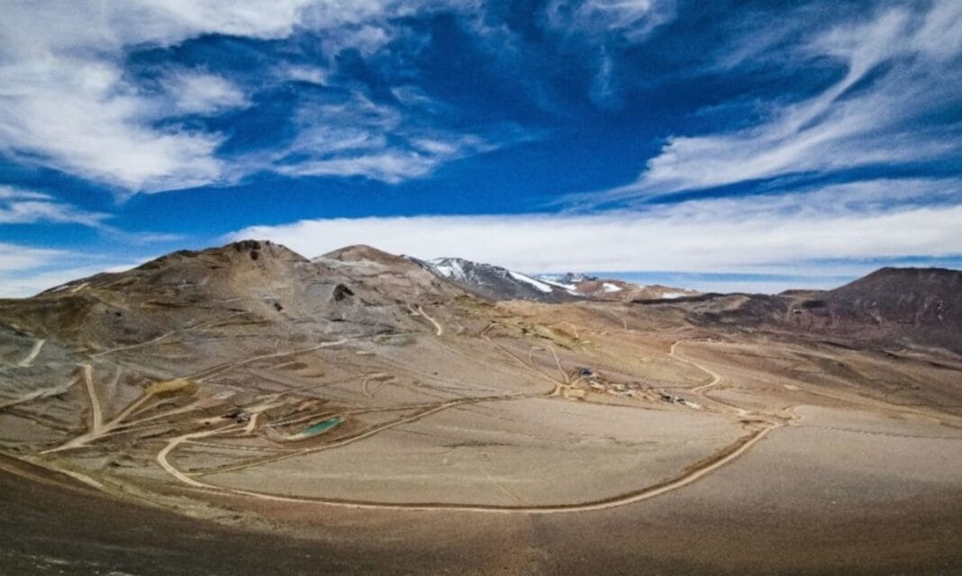 Proyecto Vicuña