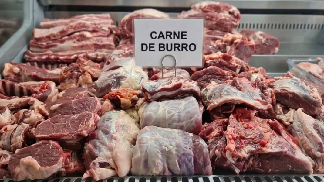 Carne-Burro