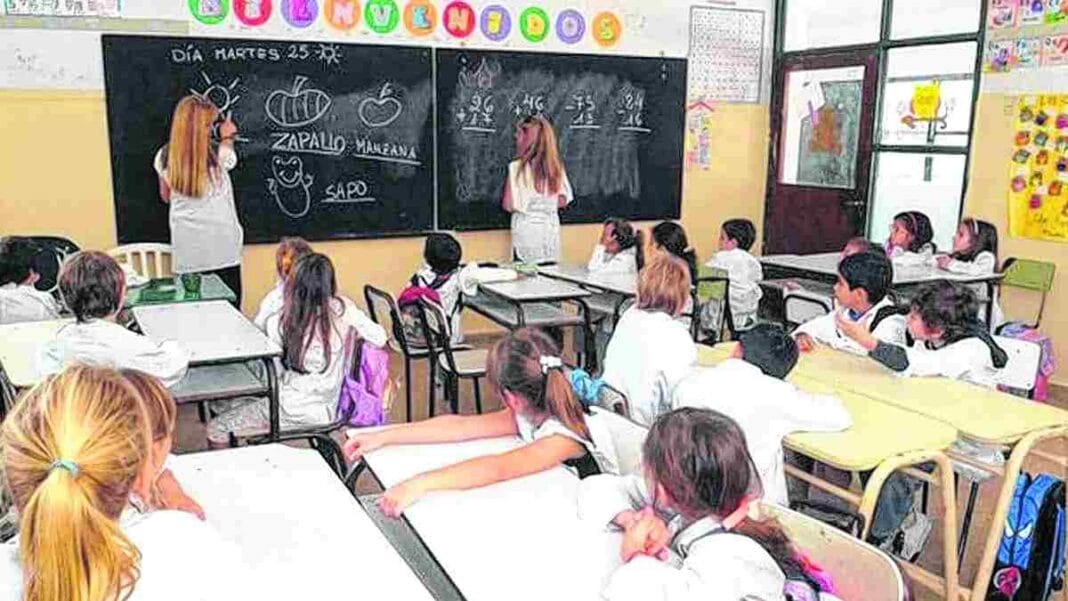 docentes