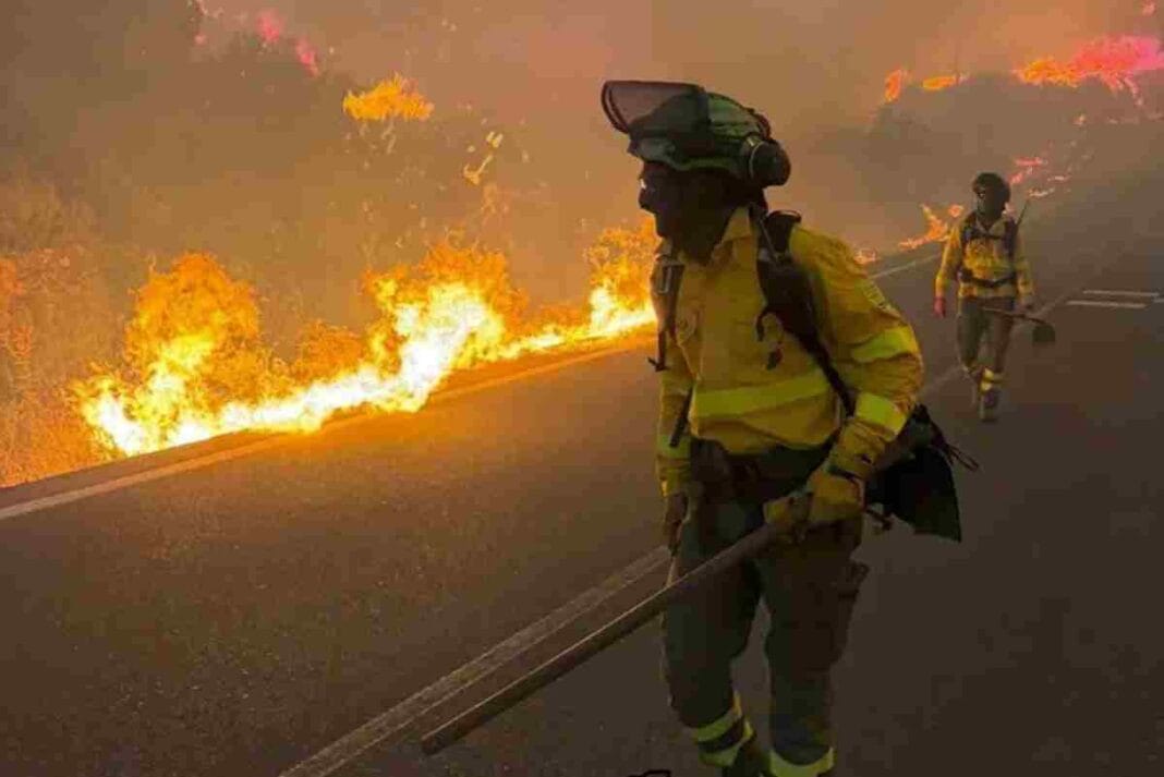 Incendio devastador en Andalucía: ya son 12 los muertos y 23 personas siguen desaparecidas Almería