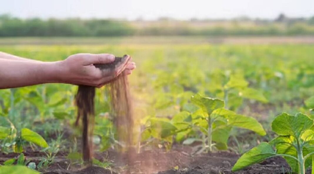 Agricultor