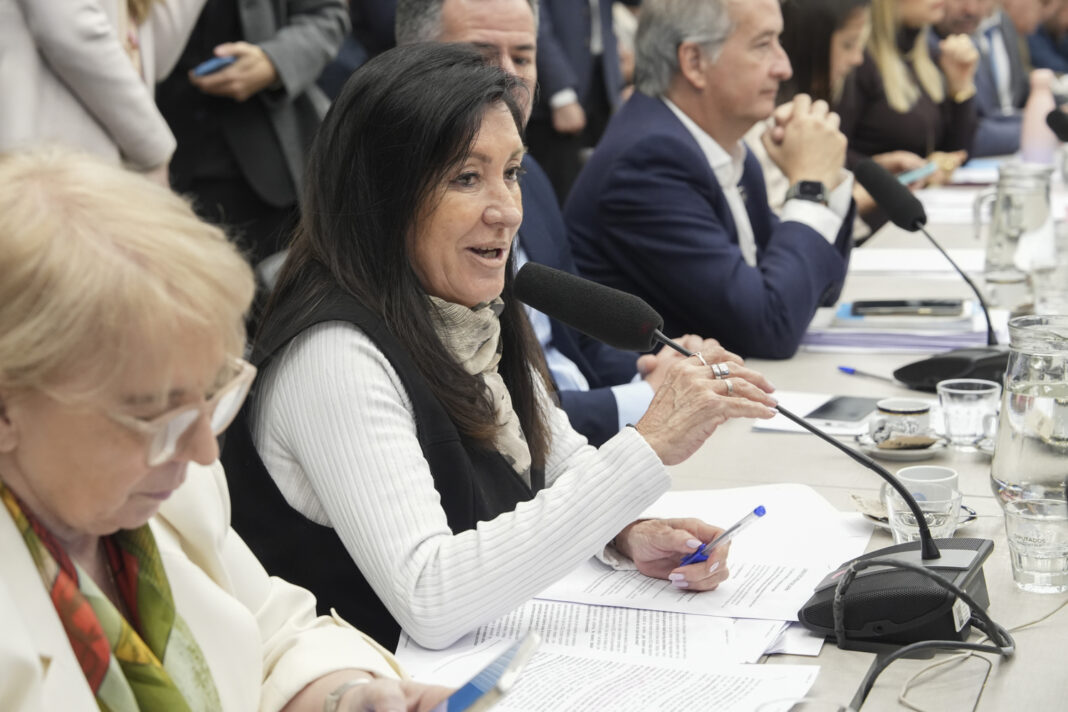 Ley de Discapacidad: el oficialismo consiguió 42 firmas y avanza con un nuevo proyecto Ley de Discapacidad: el oficialismo consiguió 42 firmas y avanza con un nuevo proyecto