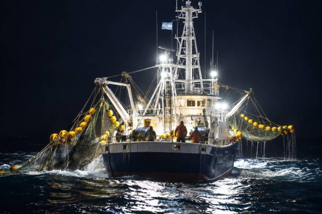Pesca de calamar